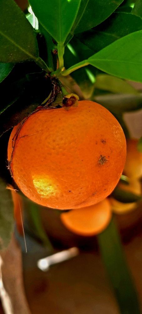 Photograph by Sonia Crotta