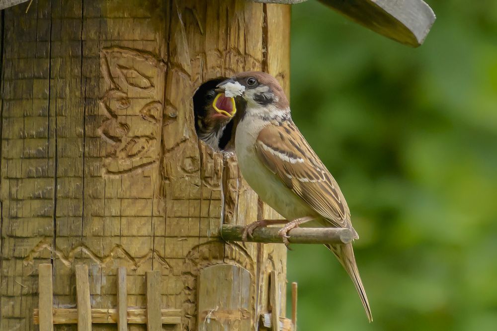 Фотография автора Андрей К. Белов