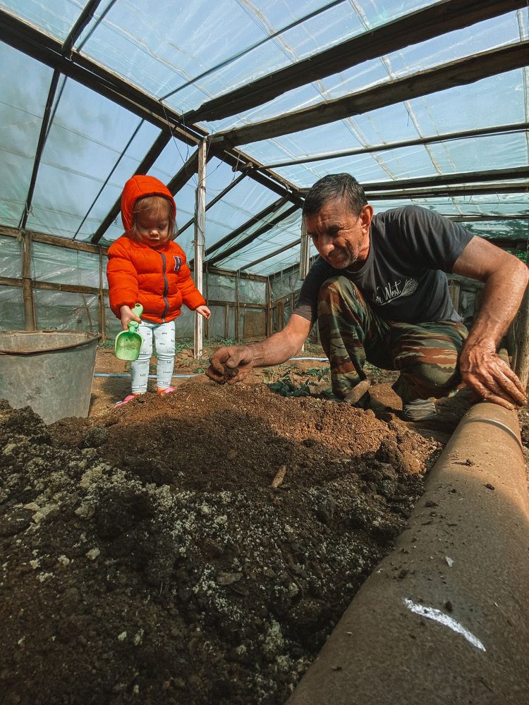 Photograph by Любовь Лычко