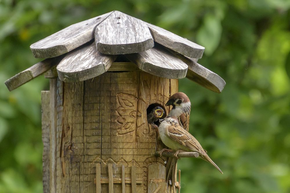 Фотография автора Андрей К. Белов