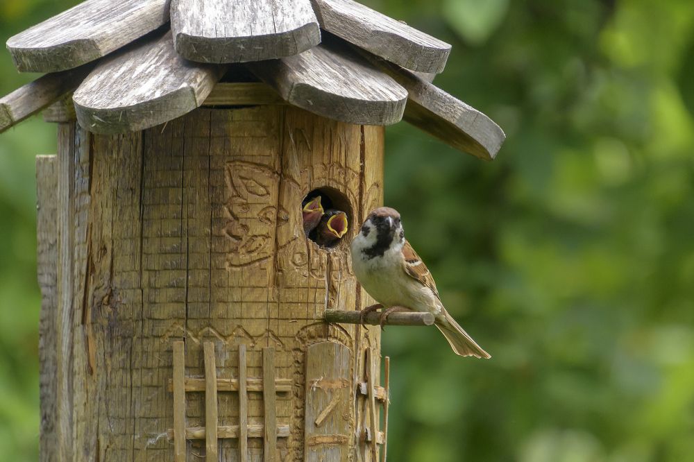 Photograph by Андрей К. Белов