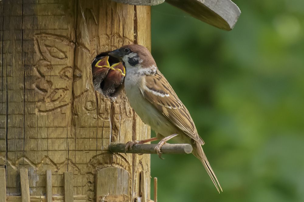 Photograph by Андрей К. Белов