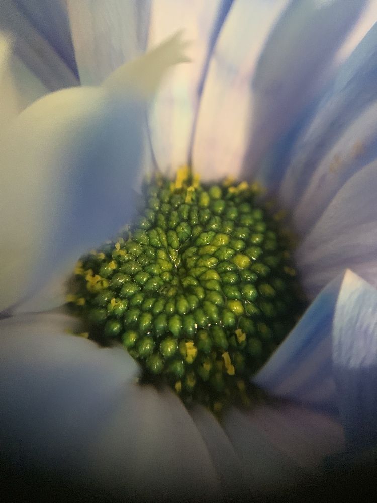 Фотография автора 