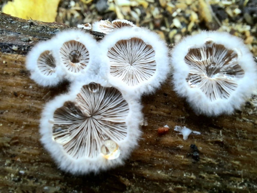 Photograph by Сергей Назаредский