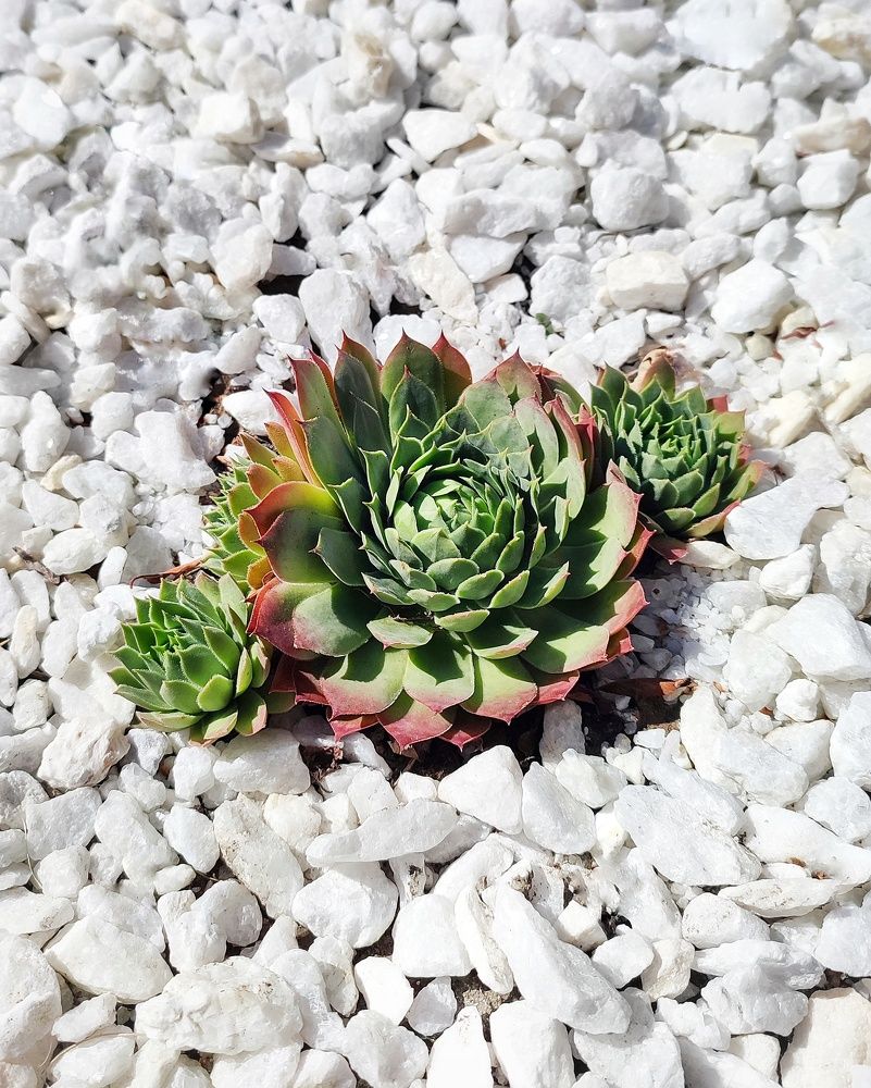 Photograph by Ольга Агаронова