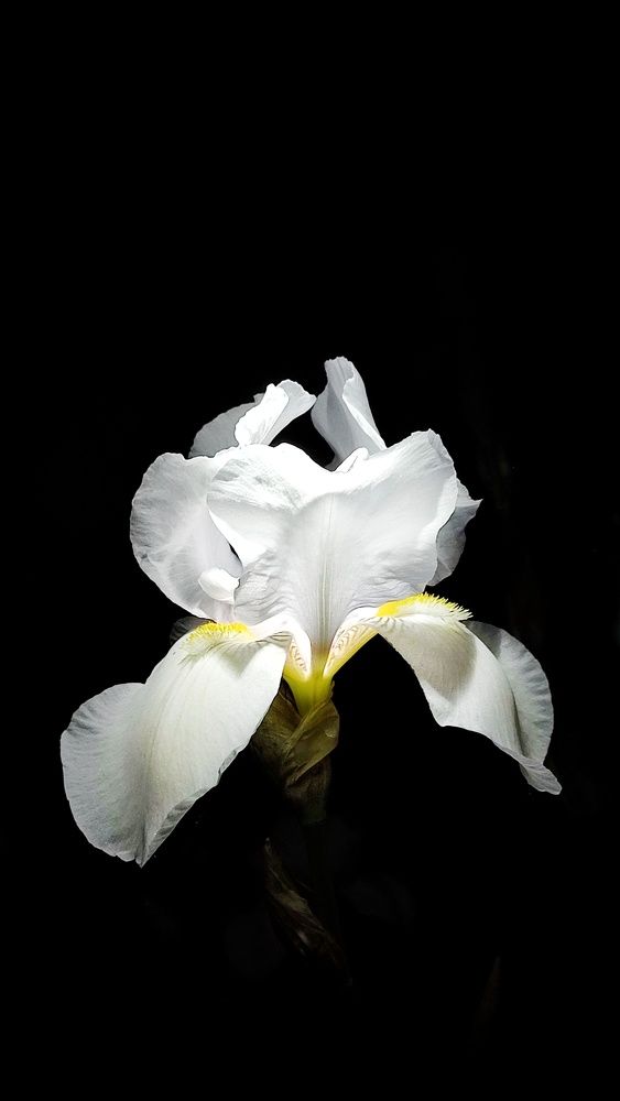 Photograph by Ольга Агаронова