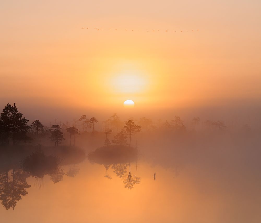Photograph by Андрей Врубель