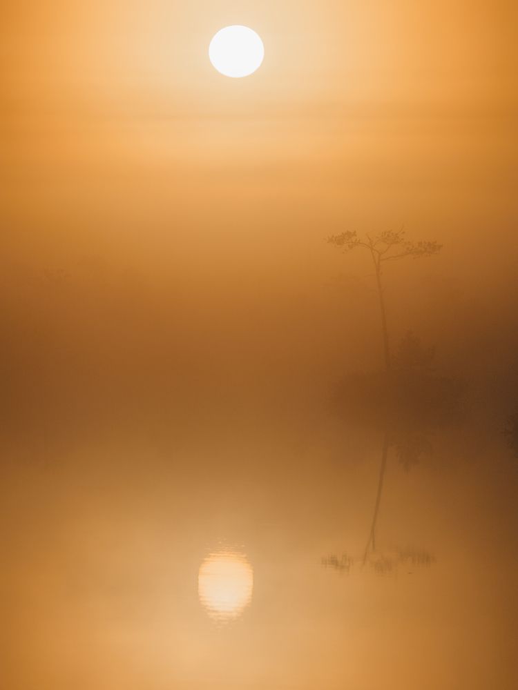 Фотография автора Андрей Врубель