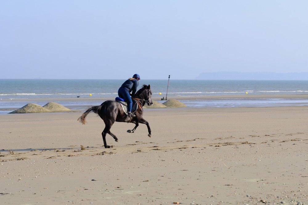 Photograph by Semeniuc Anna