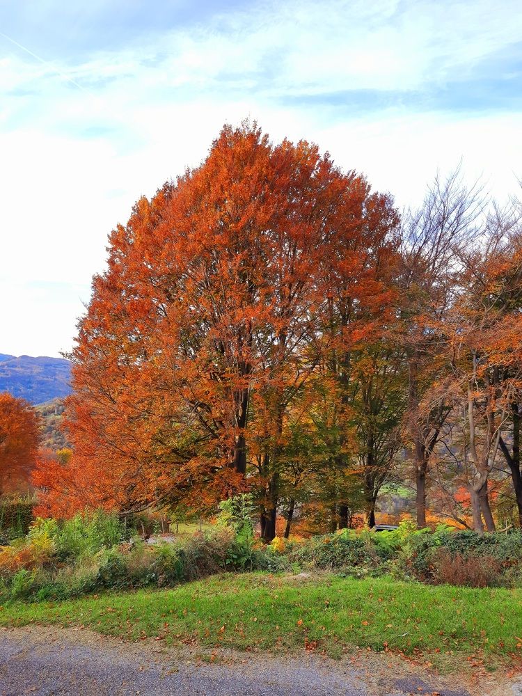 Photograph by Sonia Crotta