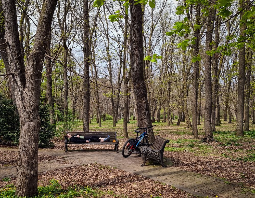 Photograph by Гельфман Галина