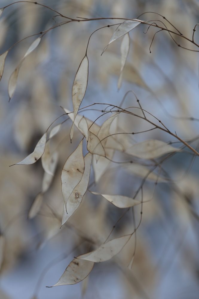 Photograph by Унку Юрий