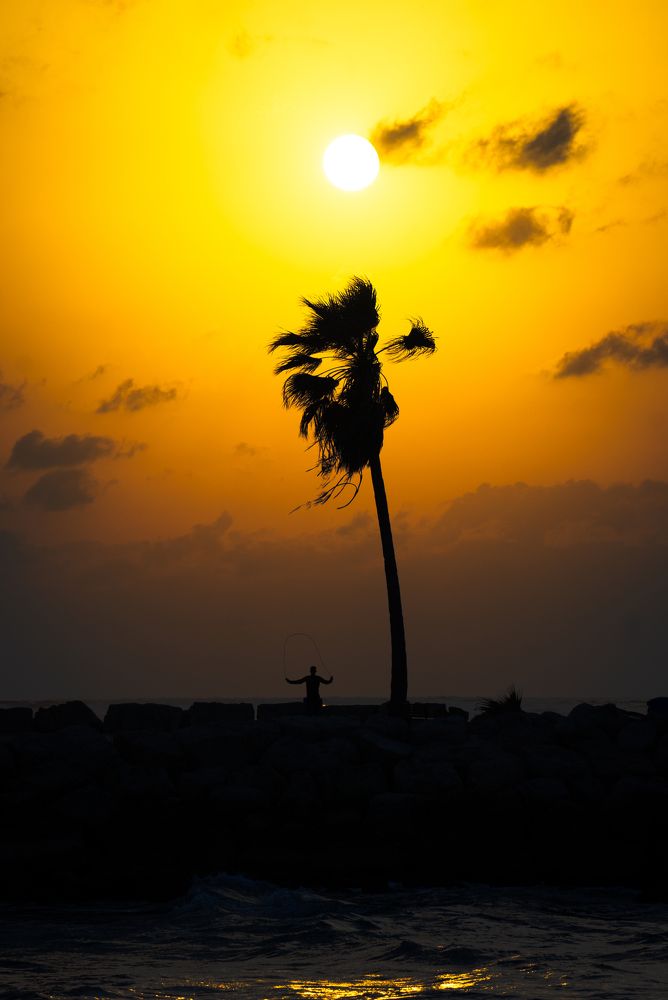 Photograph by Alex K