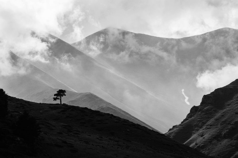 Photograph by Коркин Вадим