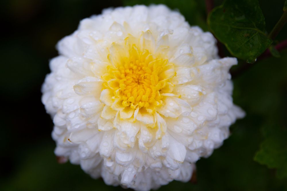 Photograph by Наталья