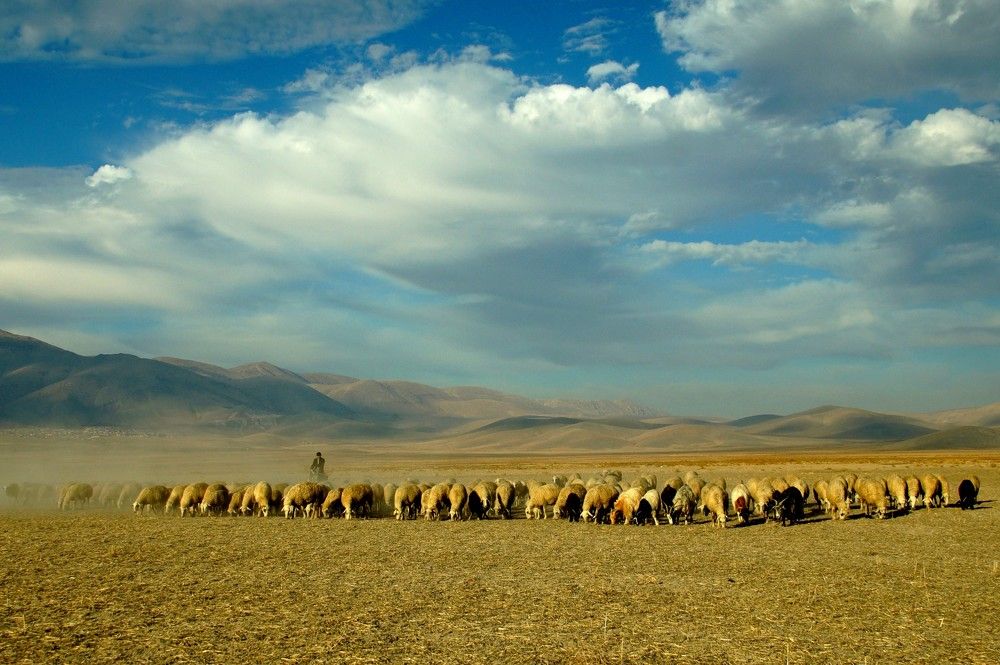 Фотография автора hilmi ayhan