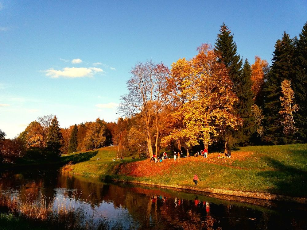 Фотография автора Наталья Бруёк