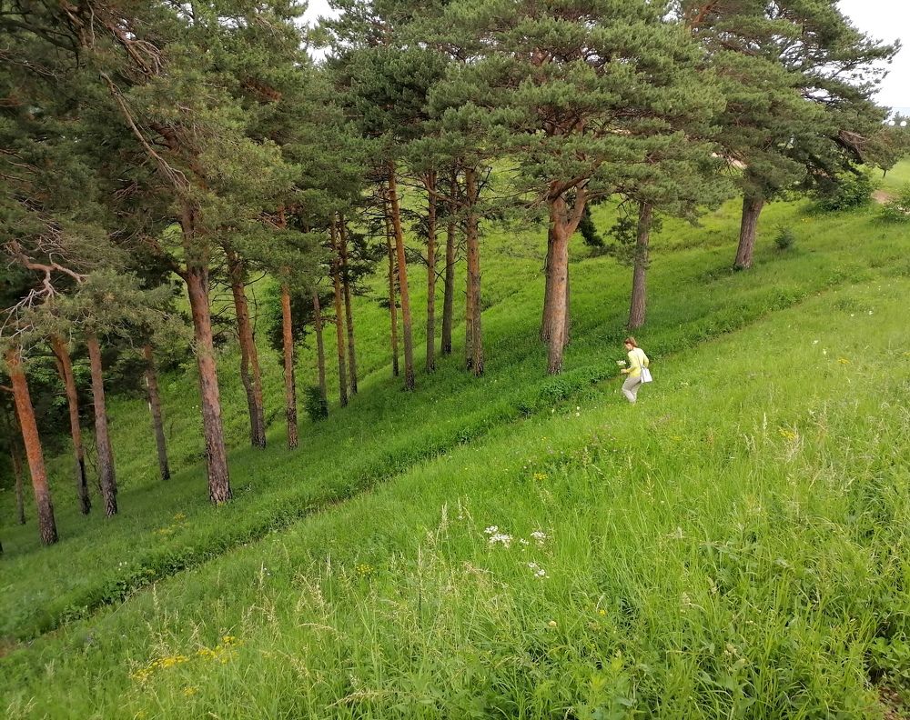 Photograph by Тамара Багровская