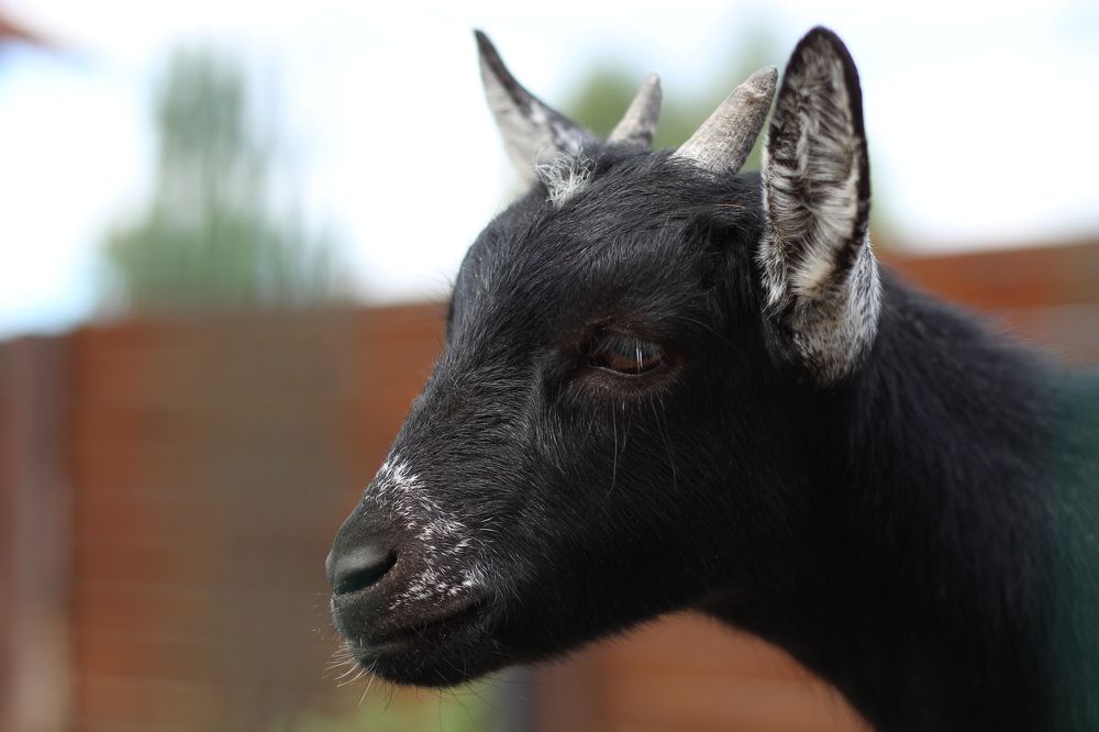 Photograph by Наталия Тарасова