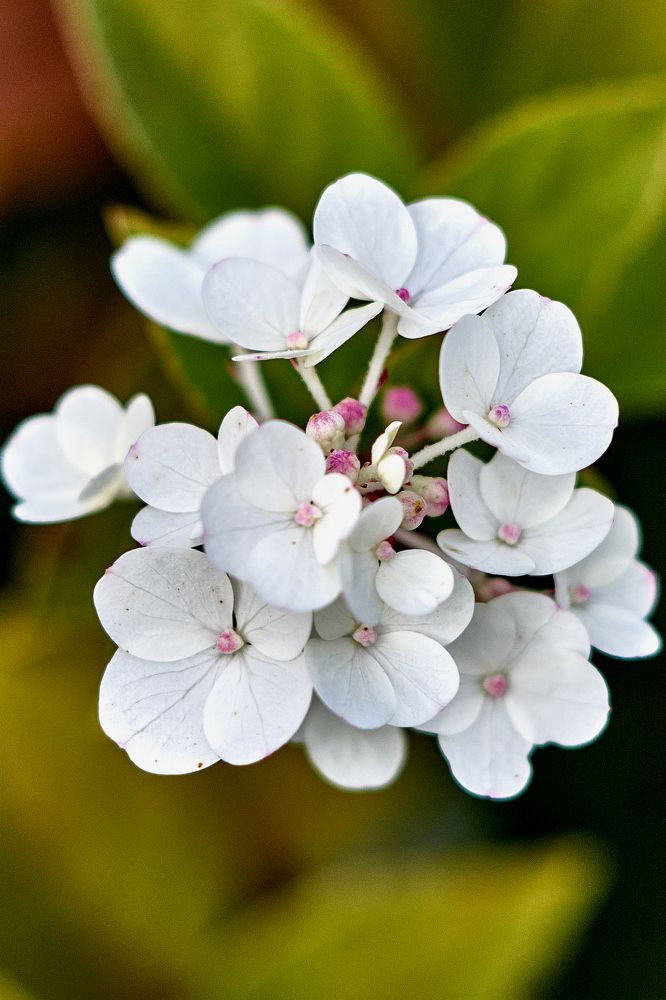 Photograph by Устинов Андрей