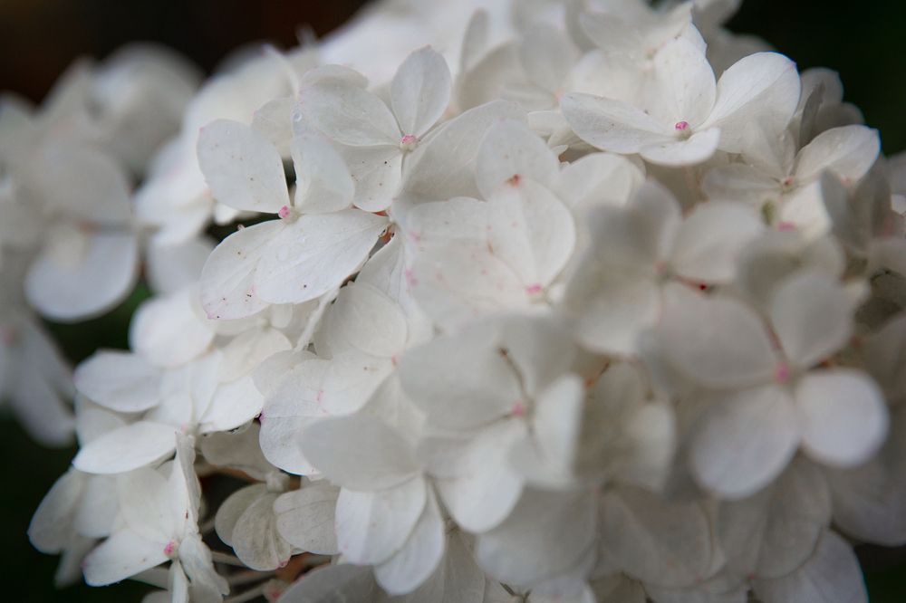 Photograph by Наталья