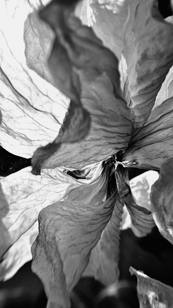 Photograph by Александра Данилова