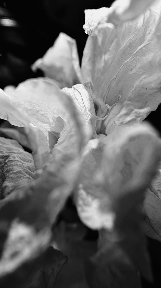 Photograph by Александра Данилова