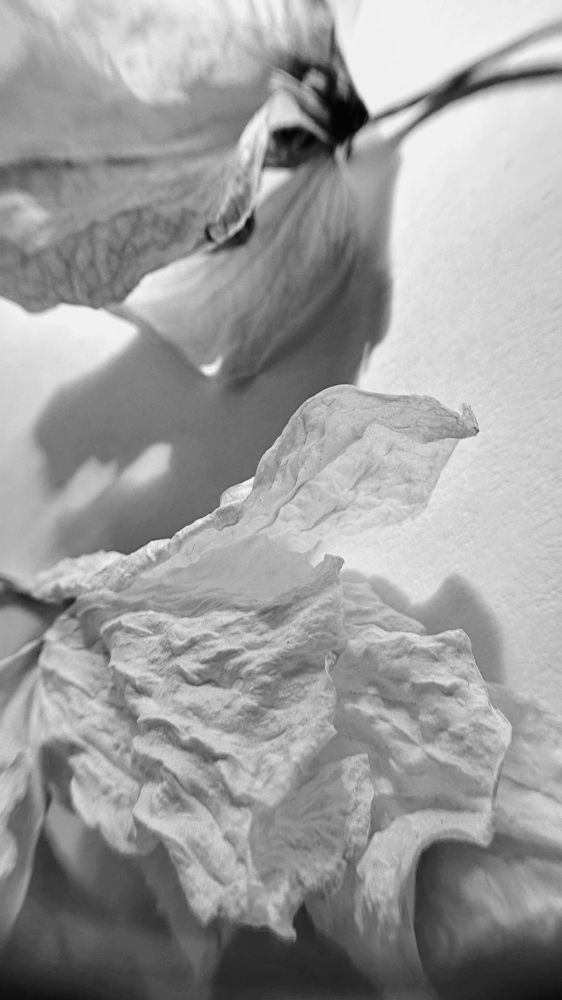 Photograph by Александра Данилова