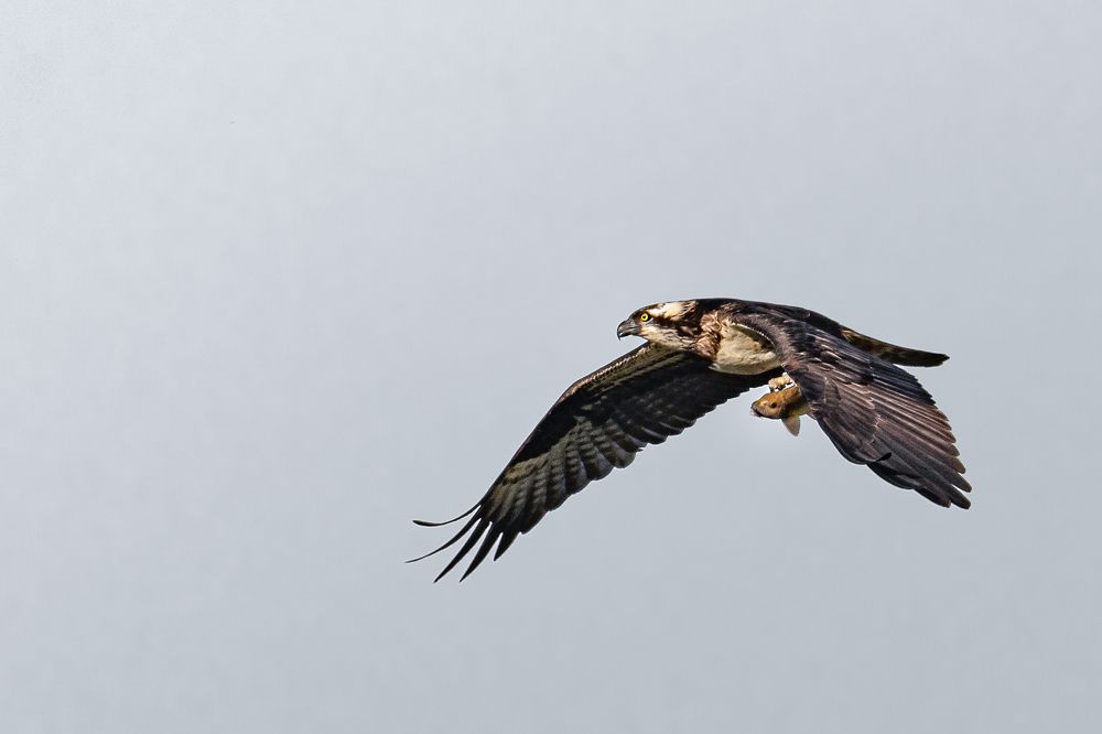 Photograph by Siddhartha Roy Choudhury