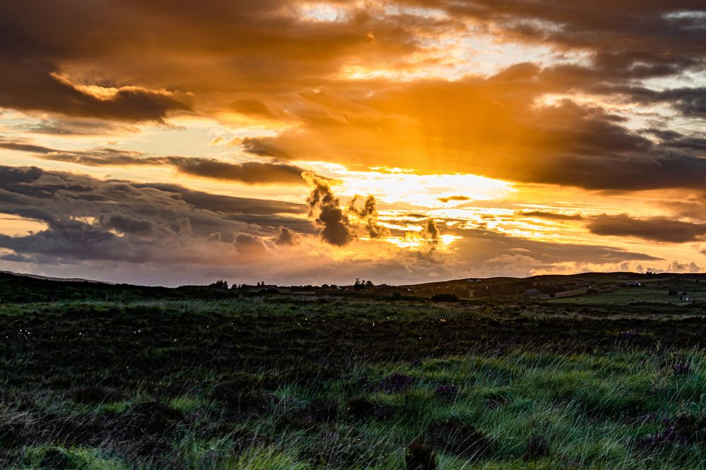 Photograph by Siddhartha Roy Choudhury