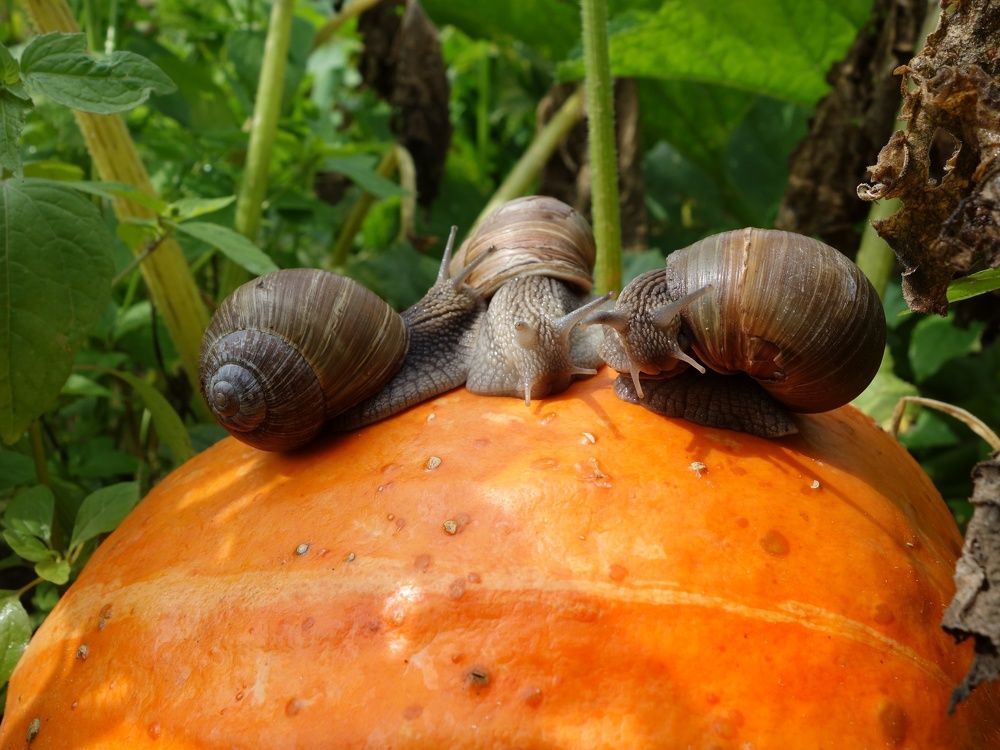 Photograph by Василий Селиванов