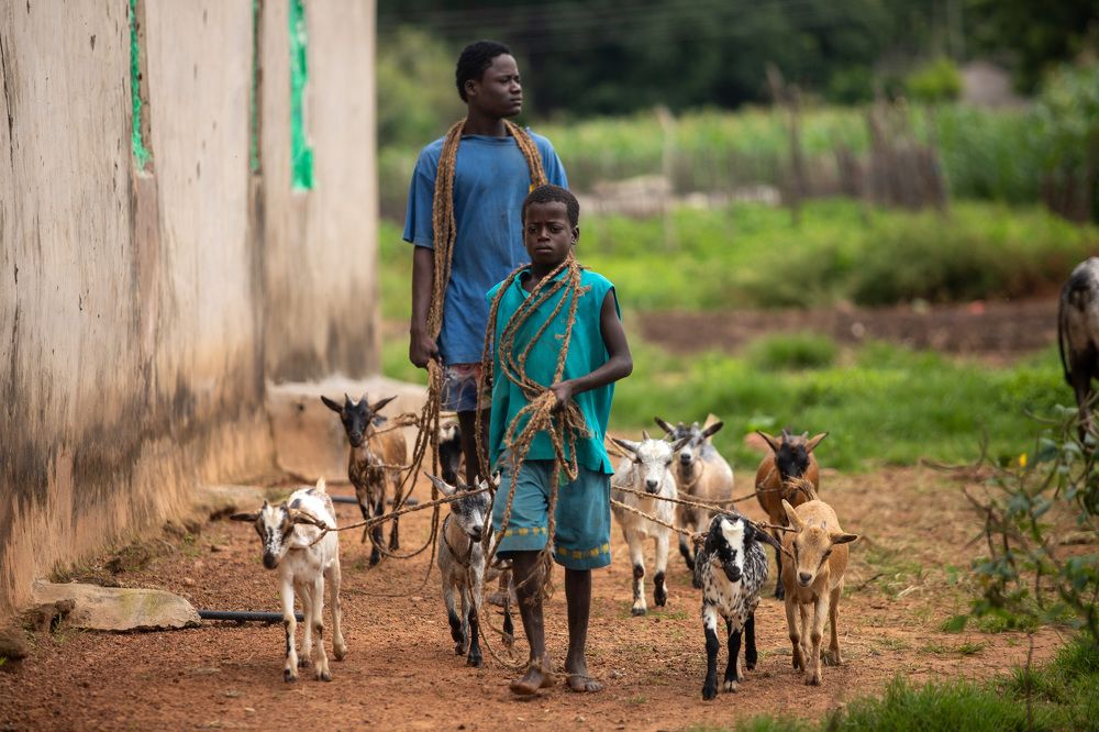 Photograph by Evans Ahorsu