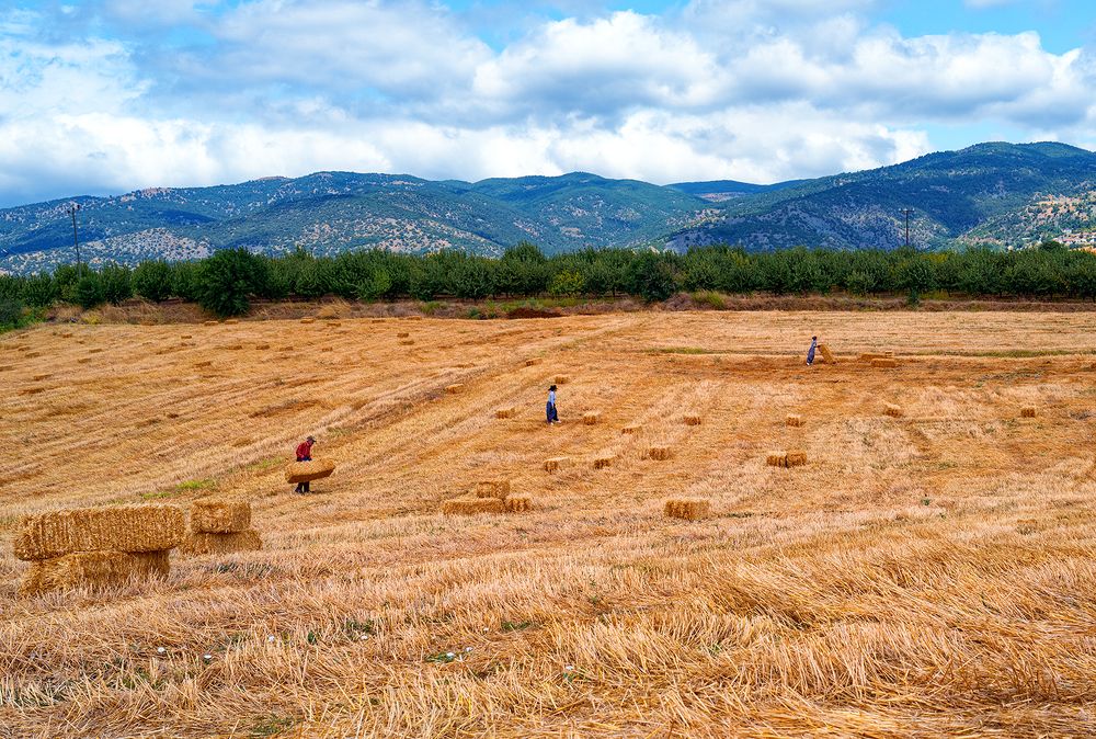 Photograph by Hasan Dimdik