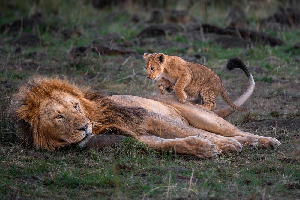 Photograph by Jayakumar MN