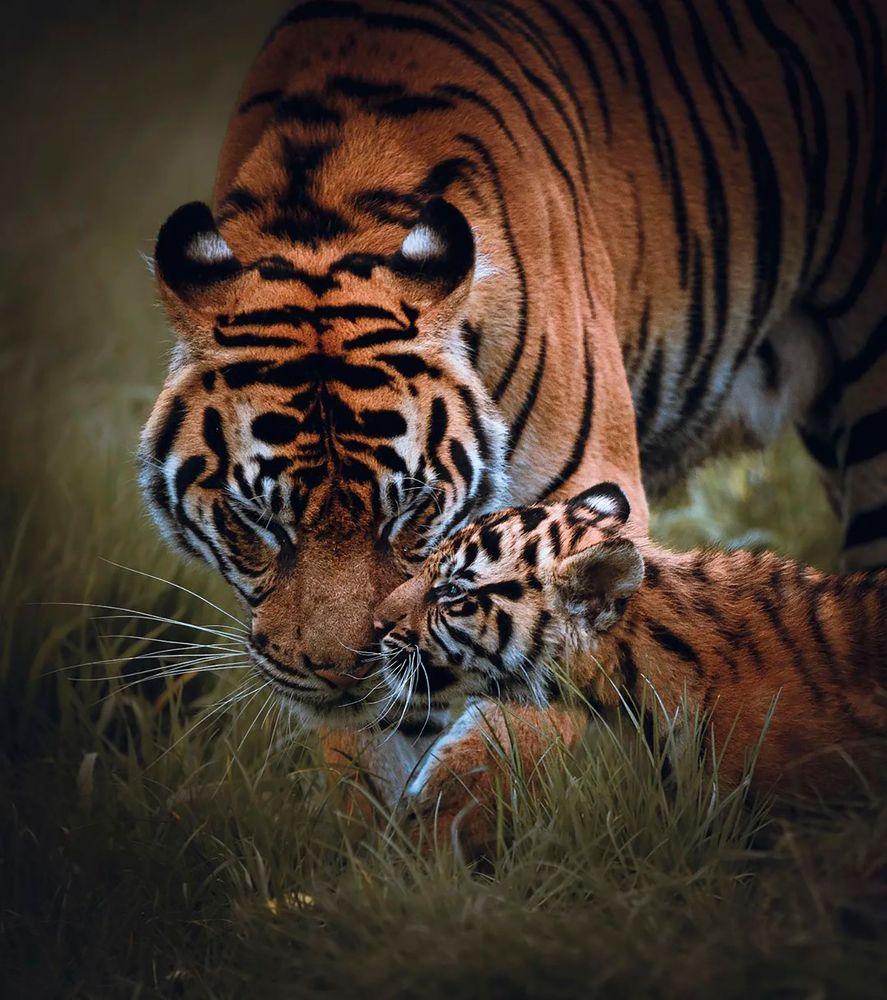 Photograph by Otto Acosta