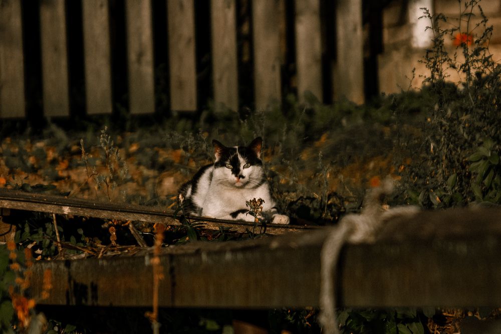 Photograph by Very Good