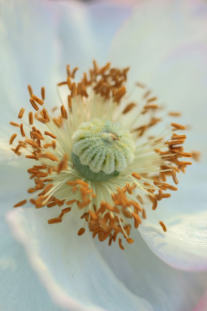 Photograph by Дина Железнова