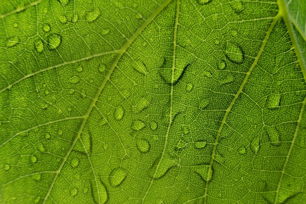 Photograph by Дина Железнова