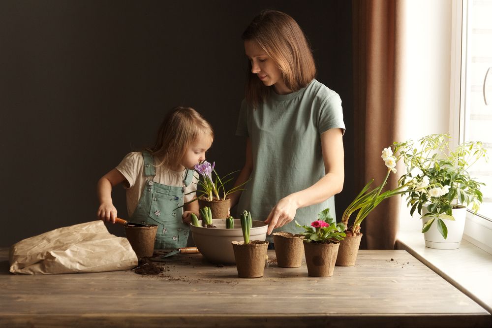 Весна в доме