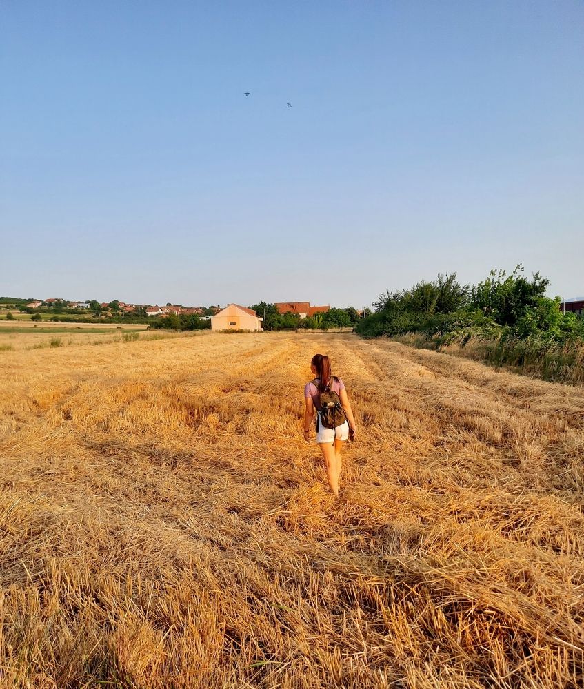 Фотография автора JELENA VASIC