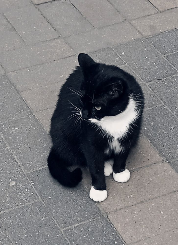 Photograph by Наталия Колемасова