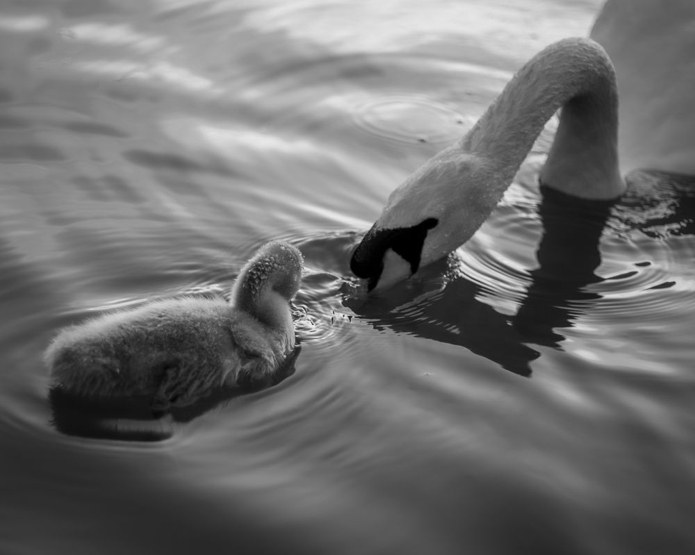 Photograph by Виталий