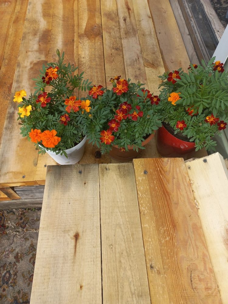 Photograph by Грязнова Светлана Валерьевна