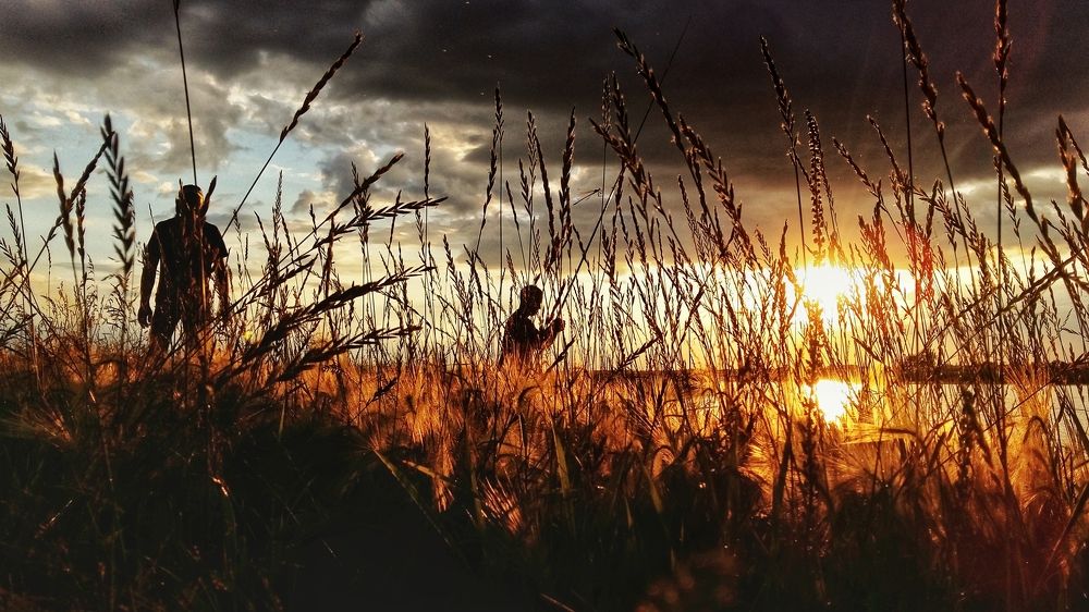 Photograph by Данил Макаренко