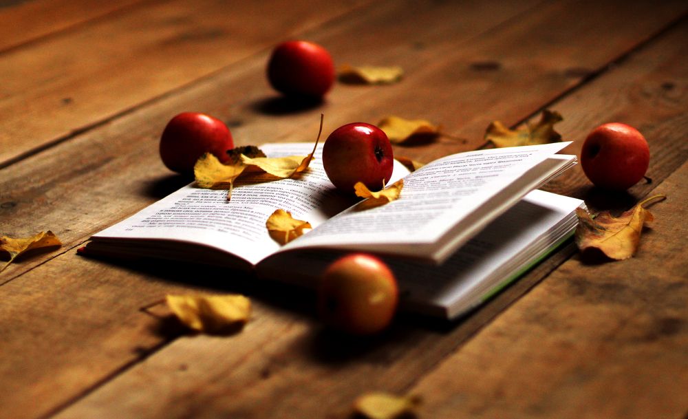 Photograph by Елена Сахарова