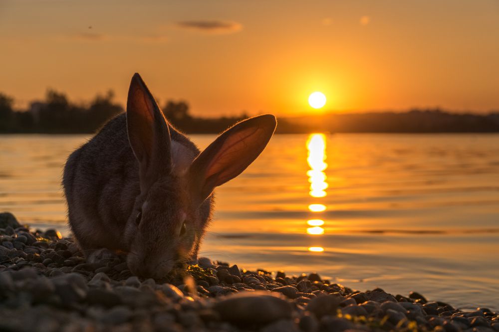 Фотография автора Михаил Тильпунов