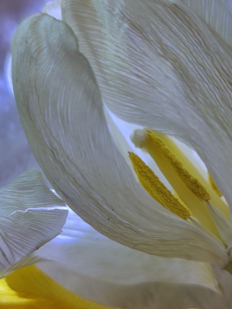 Photograph by Татьяна Гулакова