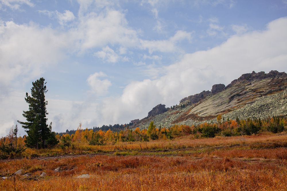 Photograph by Алина Перескокова