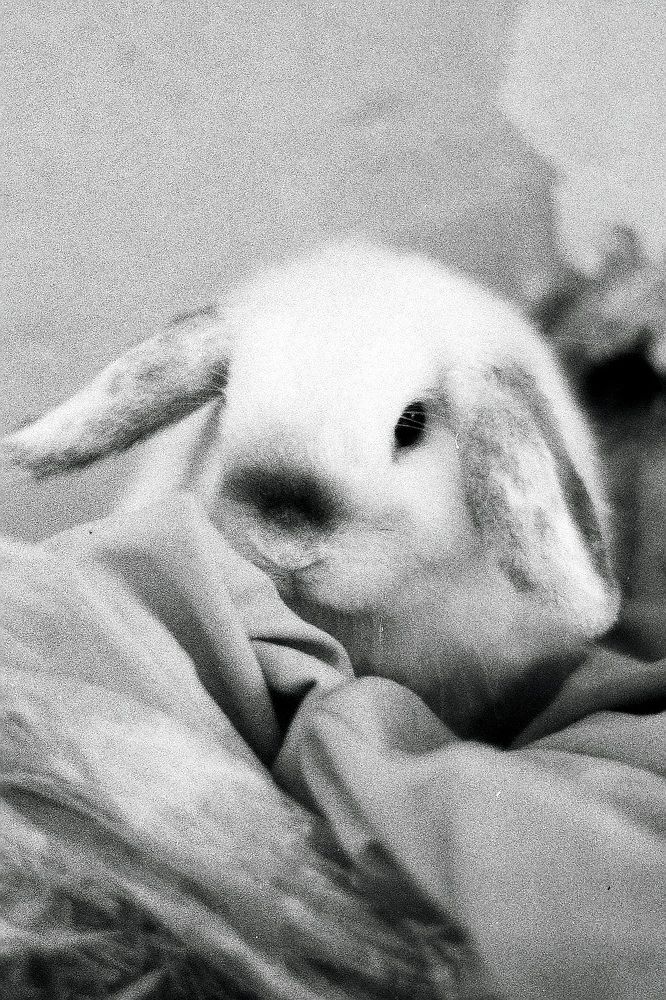 Photograph by Наталия Бочкова