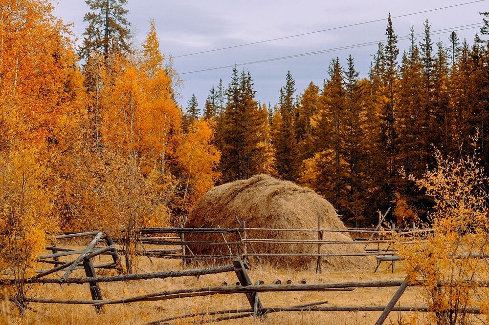 Photograph by Вероника Герасимова